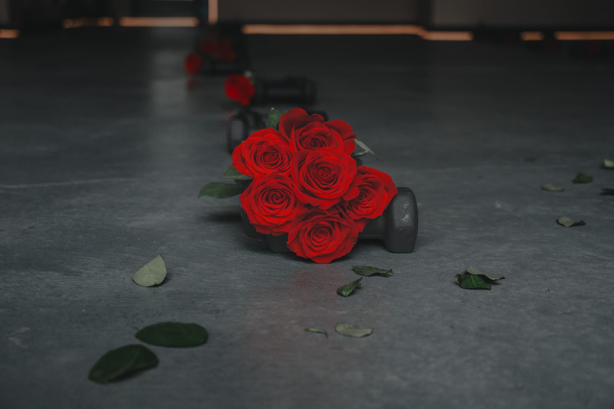 Weights and a rose — Still By Nazhir, Philadelphia photography